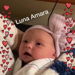 Meet your Posher, Joyce